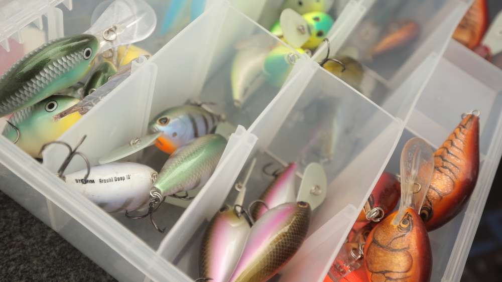 There are deep-diving cranks in the Arashi line as well. You'll see them here next to some Rapala DTs. A deadly combination for a crankbait assassin like Palaniuk. 