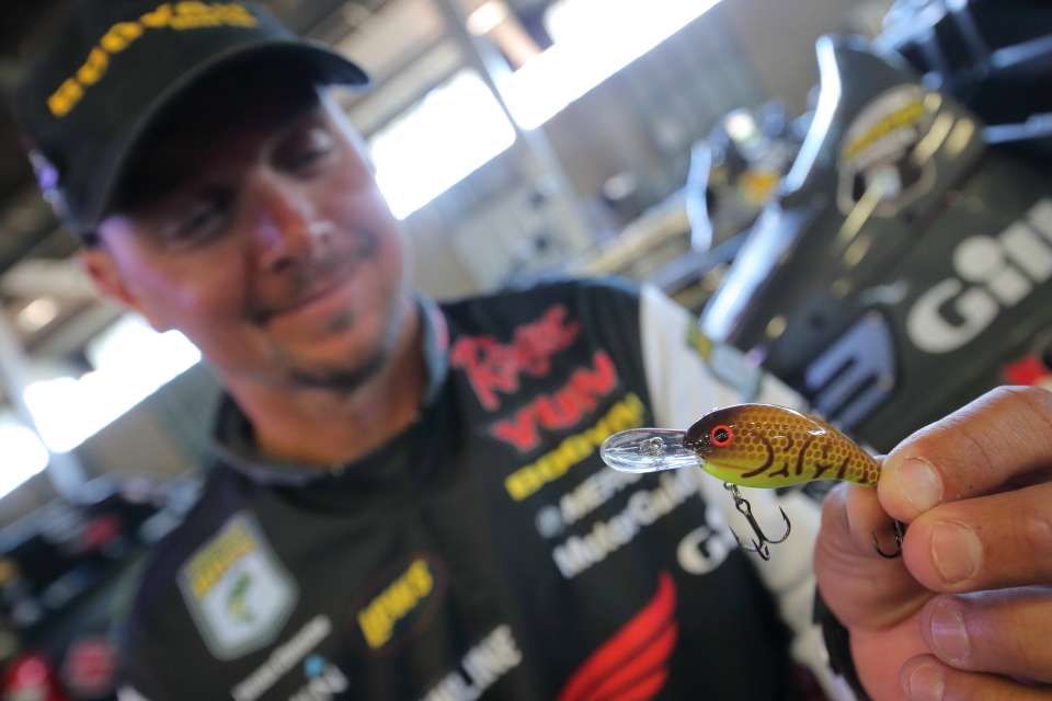 Another of Christie's go-to lures is a Bandit 200 Series crankbait in the brown craw/chartreuse belly color pattern. 