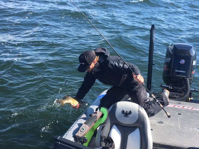 With hands like Odell Beckham jr, James Elam one-handed this one into the boat. Another 4 pounder to cull!
