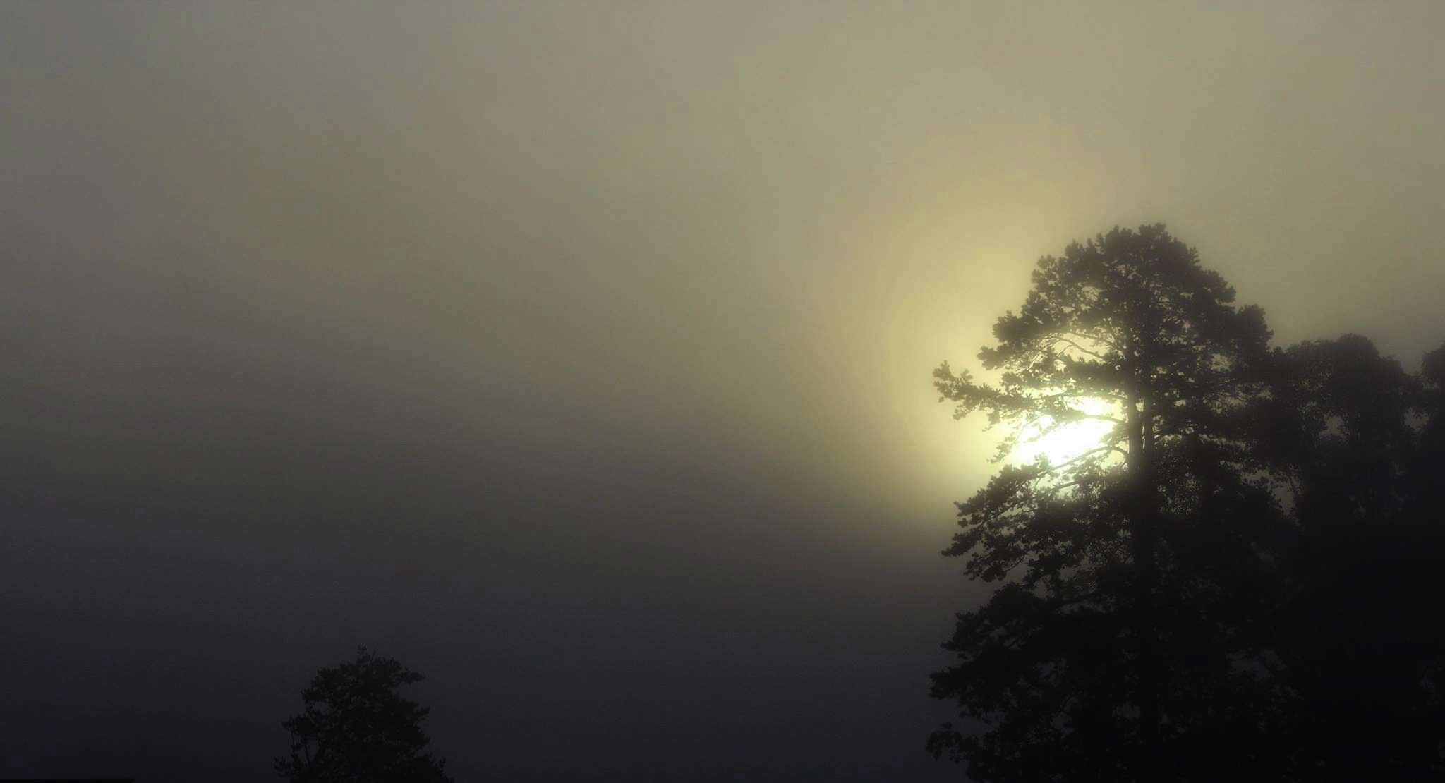 In college my photography Professor always told me to see what no one else does, to look in the opposite direction of all the gazes and today at the B.A.S.S. Nation Championship shindig thatâs what I did thanks to a dragon in the fog who reminded me what photography was all about.