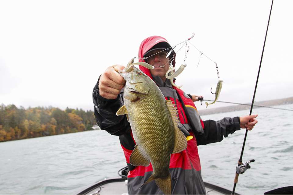 They were loving the umbrella rig with Strike King 3.75 Rage Swimmers.