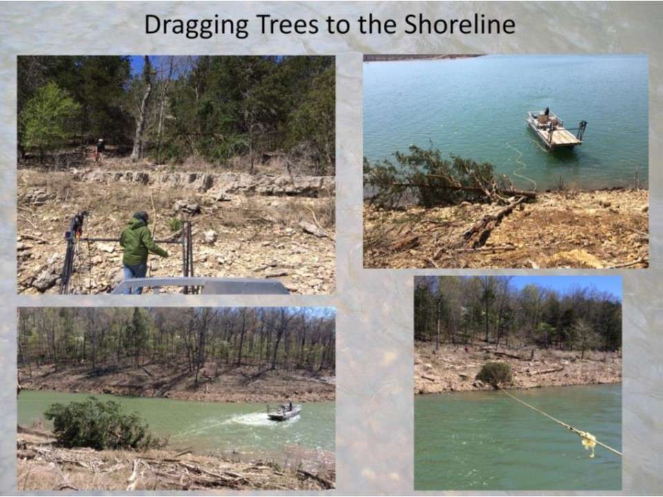 Once the tree has been cut, a floating 3/4â twisted polypropylene rope is attached from the barge to the tree with a clevis.  The barge is used to drag the tree to the shoreline. 
