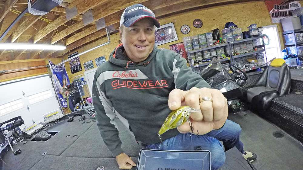 Next is the squarebill. Walker said no tackle collection is complete without a squarebill assortment. The squared off edges of the bait's lip helps it deflect cover, wood especially. His LiveTarget BaitBall crank is ulta realistic and 
