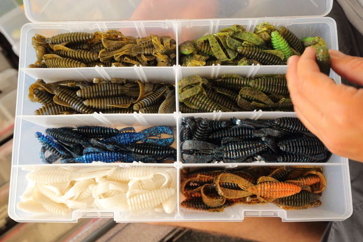 Lee reveals that the structure bugs are one of his favorite shallow flipping baits.  