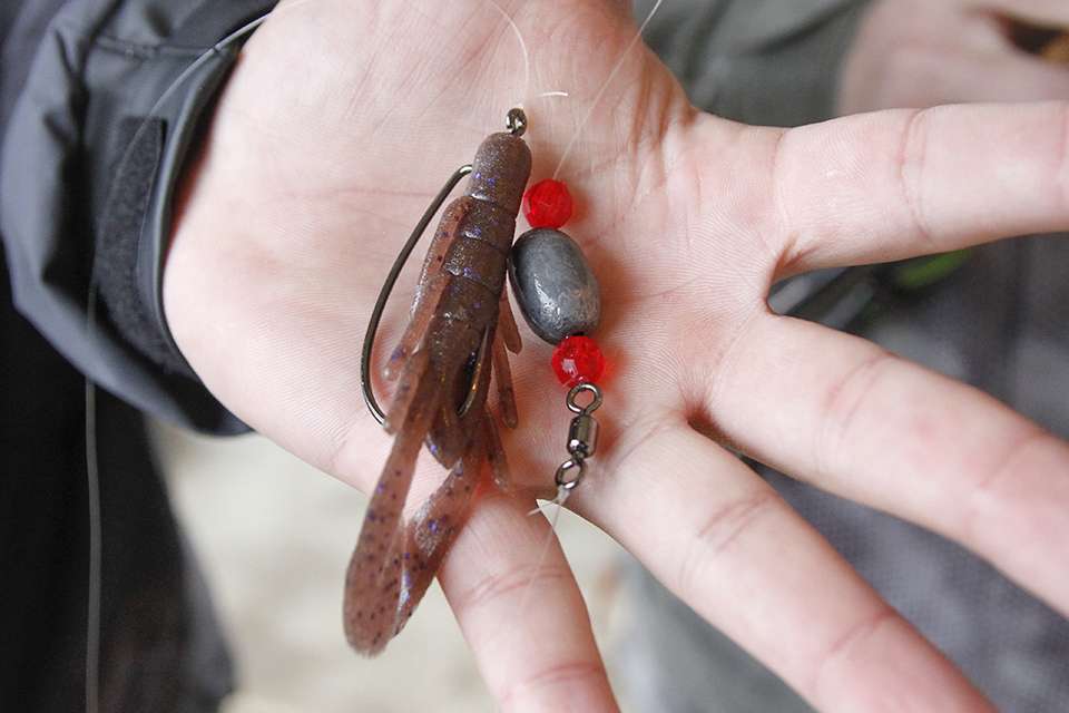 They used a Carolina Rig with a Zoom Ultra Vibe Speed Craw in Cinnamon Purple.