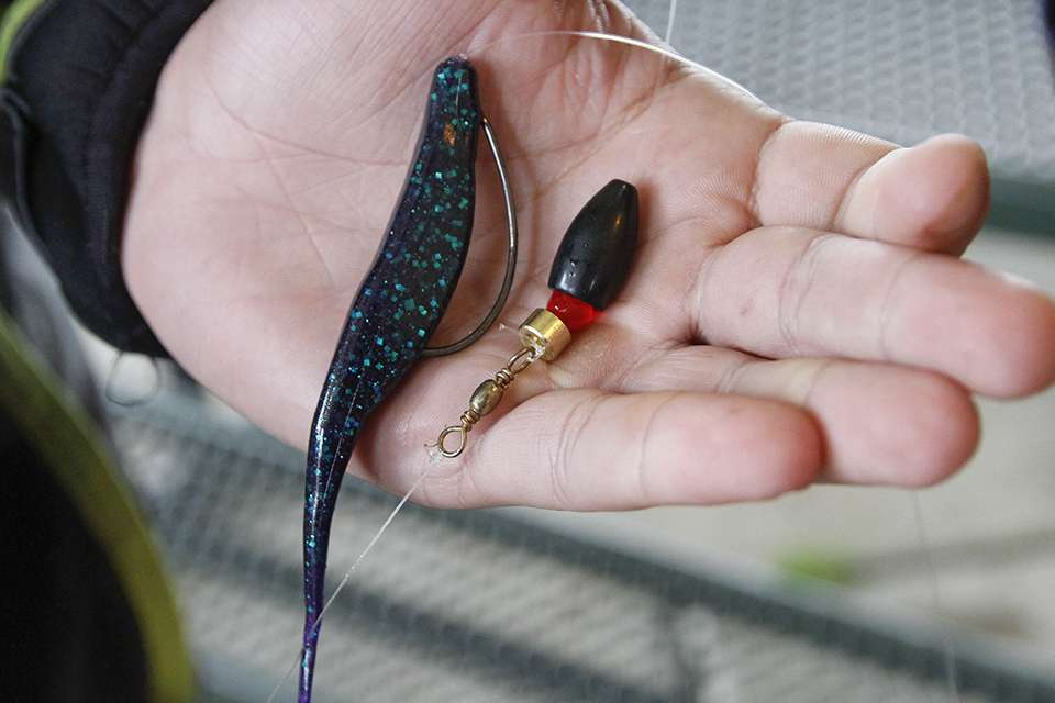 They used two bottom dwelling baits. One was a Carolina Rig with a Zoom Super Fluke in Junebug.