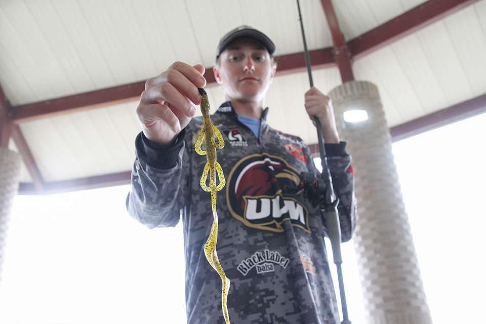 They also fished a Texas Rigged V&M Wild Thang Lizard.
