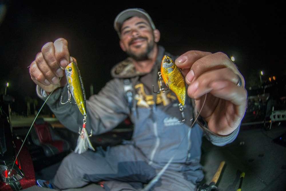 <b>Michael Purvis</b><br>
To finish 11th Michael Purvis chose two hard baits. He used a 3.5-inch Yellow Magic Japanese Popper for fan casting into afternoon feeding bass. Alternatively, he chose a 3/8-ounce Spro Aruku Shad. âIt enabled me to tick the tops of the hydrilla instead of getting it hung up in the grass.â 

