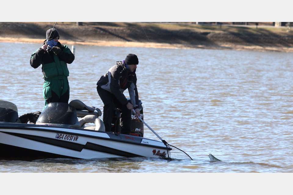 Weldon said to expect the anglers to bring in a number of spotted bass, which have been growing larger lately after the introduction of blueback herring into Lake Martin. He doesnât throw out the possibility of a 20-pound bag, but thinks the biggest will be in the 17- or 18-pound range.