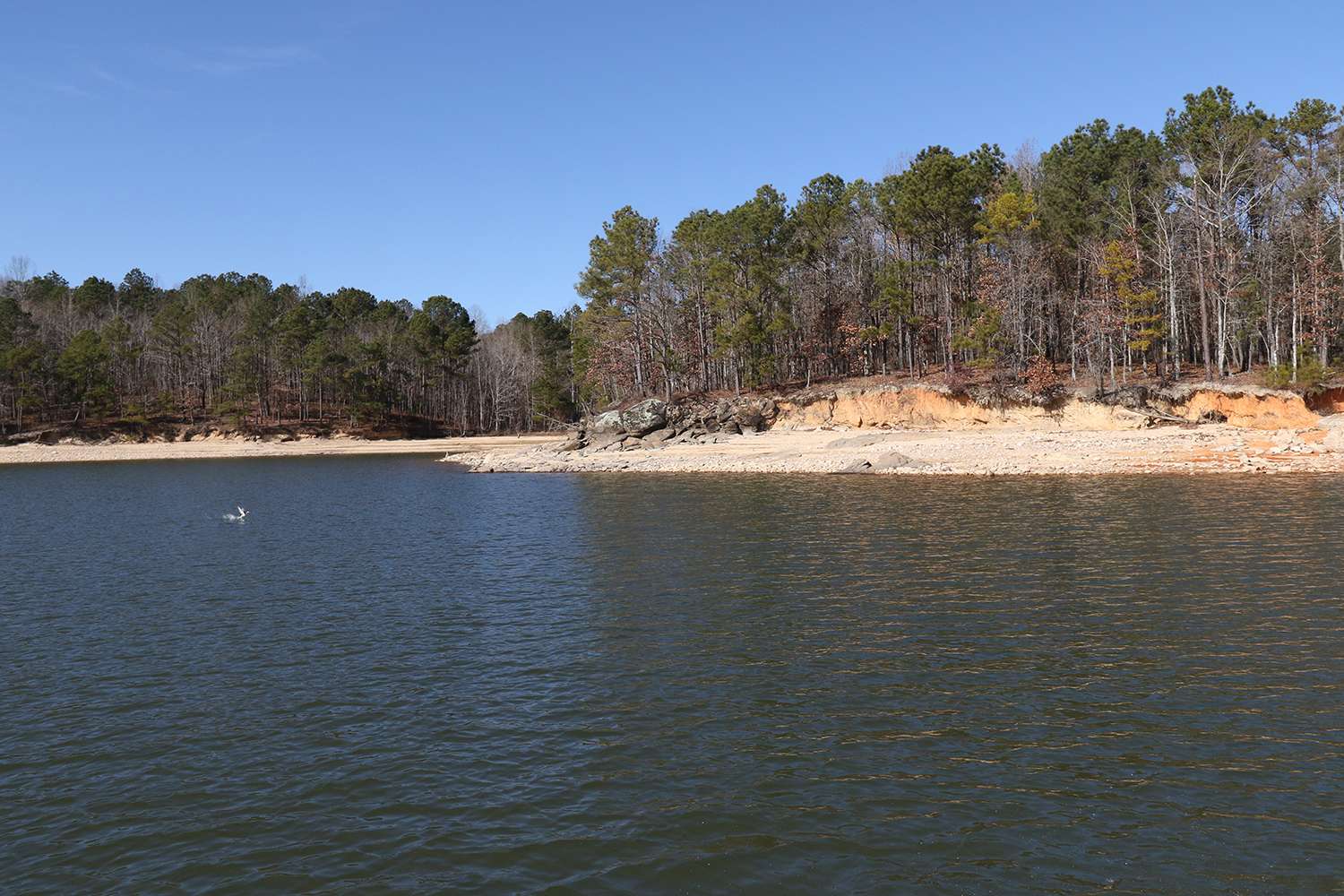The lake is heavily wooded, but the structure base is primarily rock and scattered wood. 