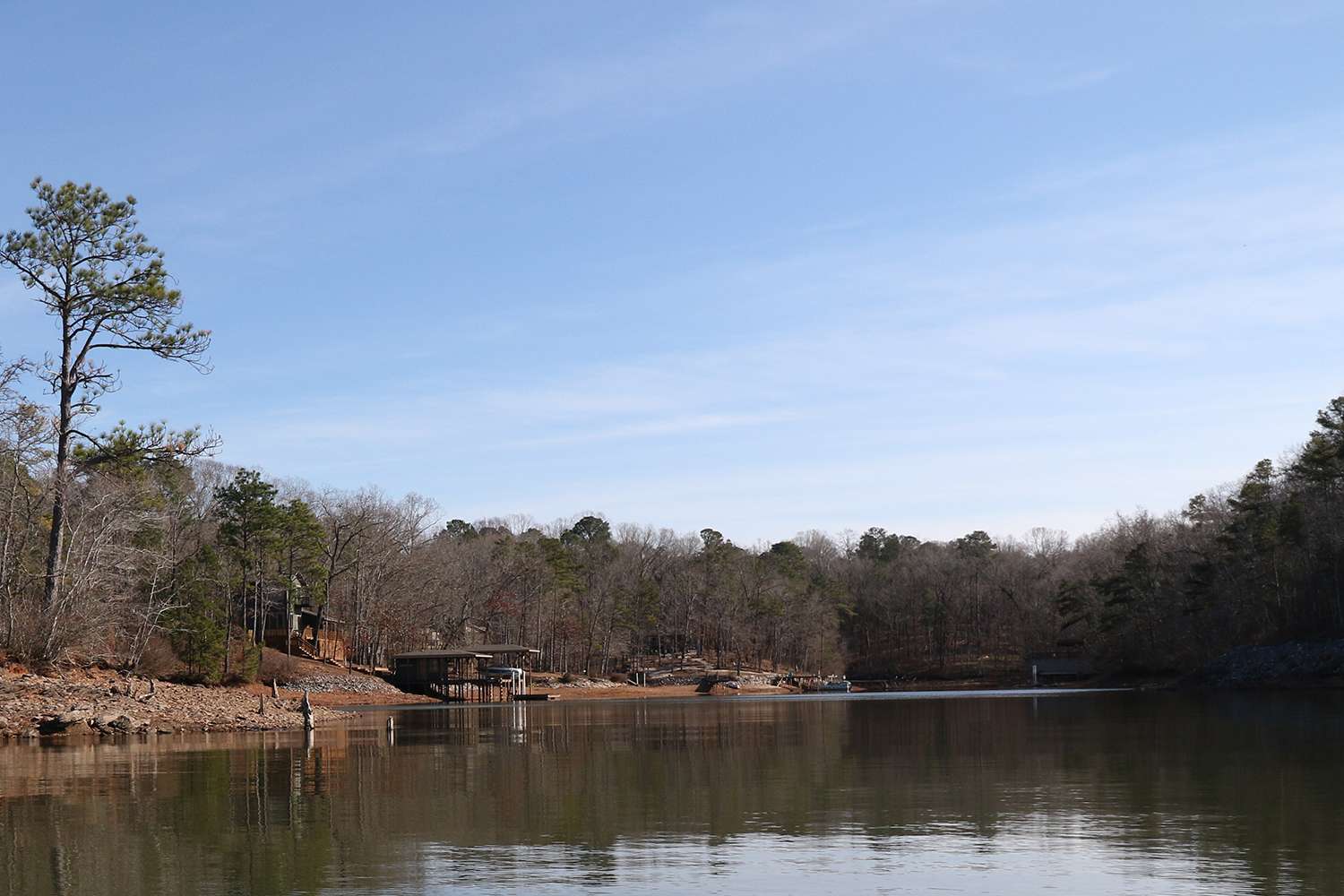 Aside from vegetation this time of year, Lake Martin literally has something for everybody. 