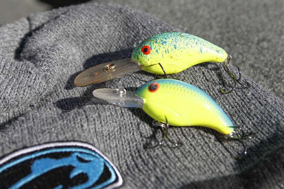 Bandit Lures Series 200 and 300 Crankbaits were chosen for reaction bites.
