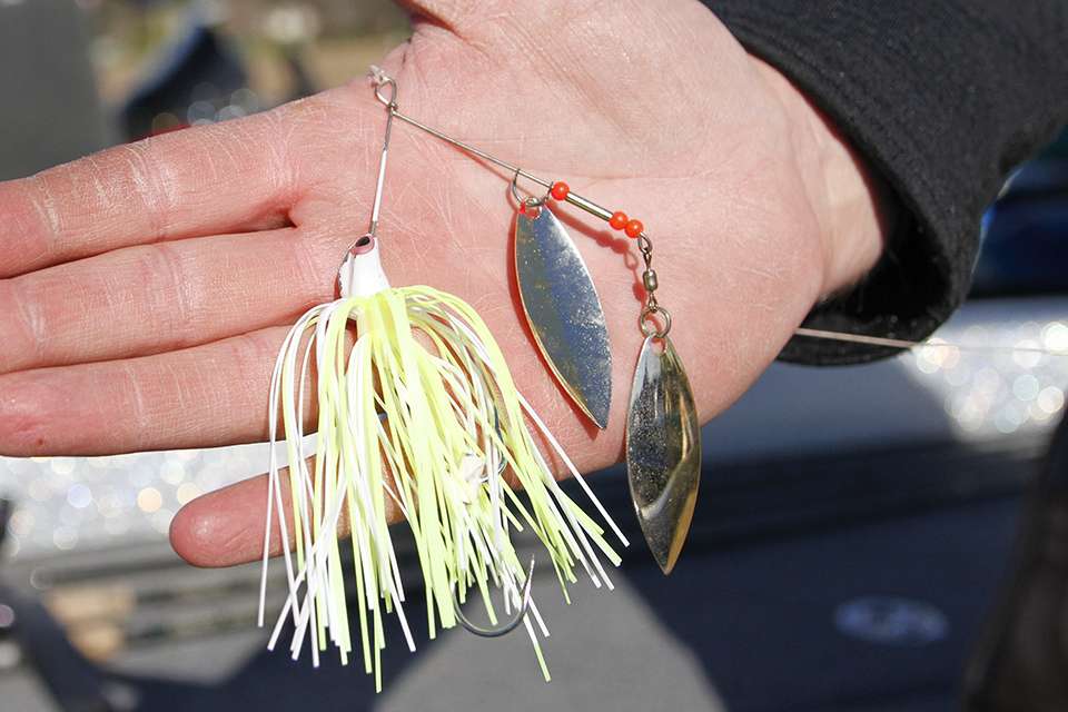 A 3/16-ounce Mr. Hooty Spinnerbait with double willow leaf blades was a choice. 
