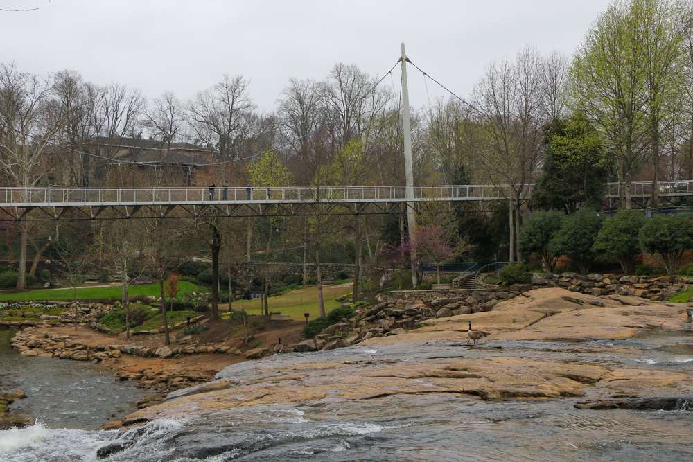 The Liberty Bridge is a pedestrian bridge that curves around the waterfalls of the Reedy River. 