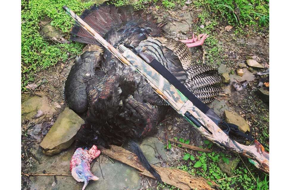 New dad Brandon Lester did what a lot of other Elites might or might not be able to get to this spring -- turkey hunting. âFinally caught up with a good bird this morning,â he wrote. âPretty awesome 30th birthday present I reckon!â