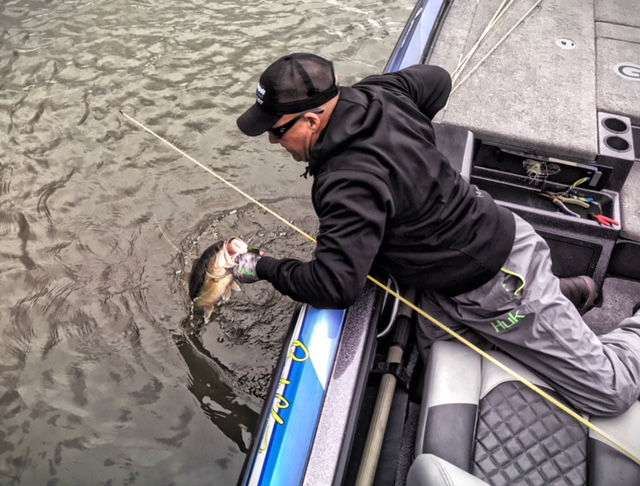 Brent Chapman digging out another solid fish to keep his morning going!