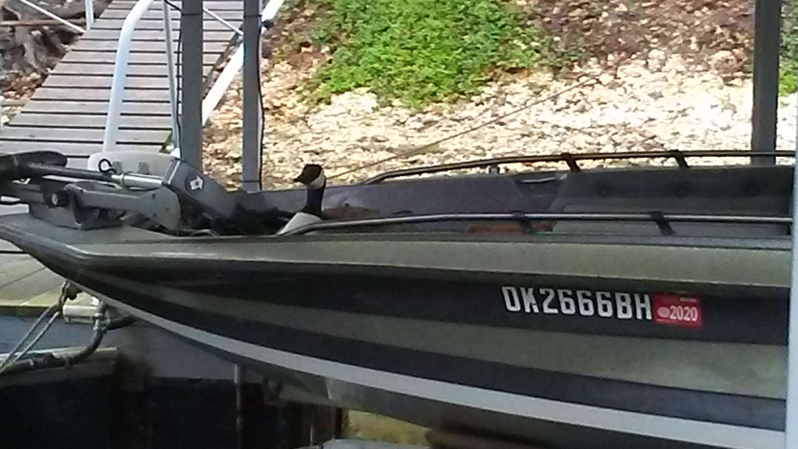 Momma goose nesting in bass boat close to Jacob Powroznik.