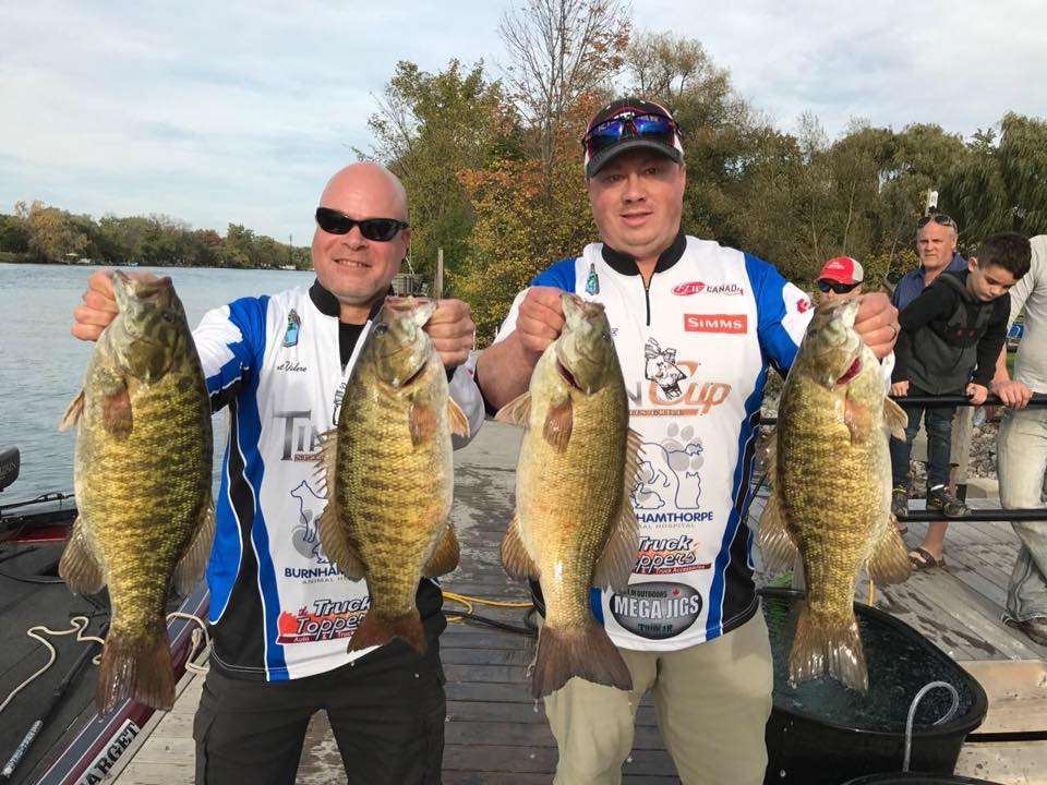 Phil Curtis and his partner caught 26 pounds of Lake Erie Smallies on Mega Jigs rattling tube heads and Bass Magnet Tubes.