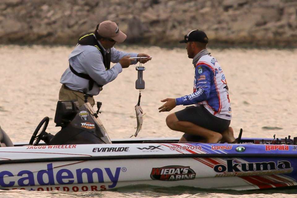 One hundred bass days. Largemouth caught from inches of water to 40 feet deep. Lake Travis showcased its vibrant bass fishery at the Toyota Bassmaster Texas Fest Benefiting Texas Parks and Wildlife Department. 
<p>
<em>All captions: Craig Lamb</em>