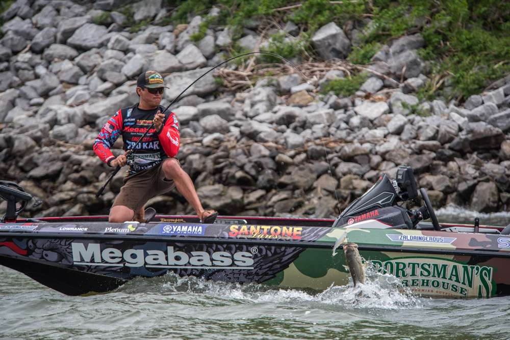 Prespawn, spawn, postspawn and even shad spawn. All were in play at the Berkley Bassmaster Elite at Kentucky Lake presented by Abu Garcia. The lakeâs famous ledges were cold and the shoreline action was hot. <br><br>
<i>All captions: Craig Lamb</i>