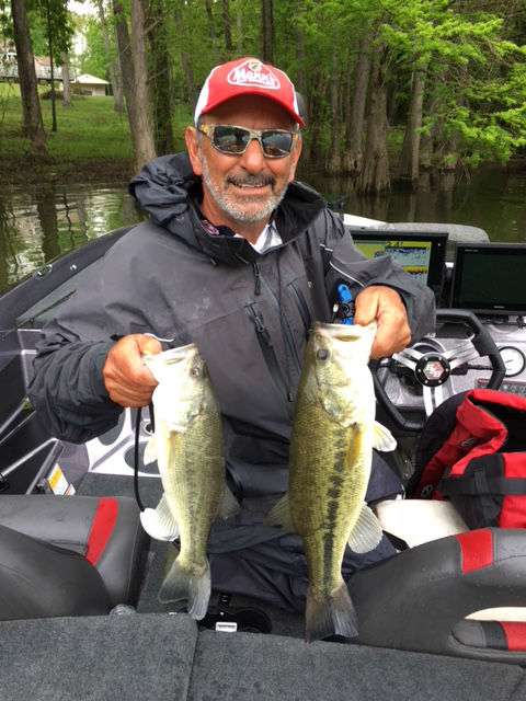 Paul Elias has hit his limit and culling out the 1 1/2-pounder for one about 3 1/2.   He has been flipping shallow brush under overcast skies.
