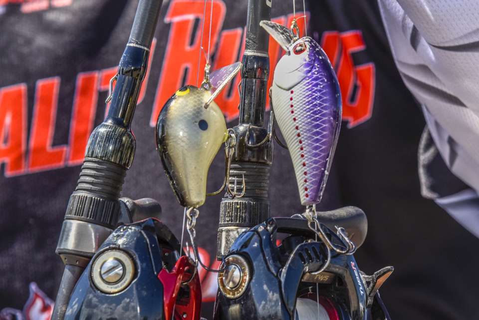The Lucky Craft BDS 3 and Zoom W.E.C. crankbaits were the choices. 
