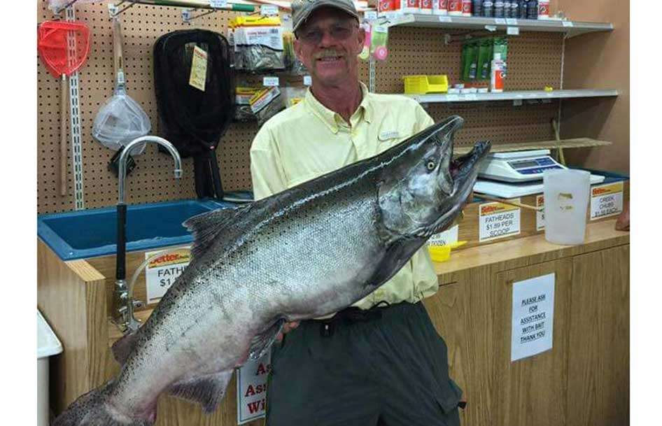 While Oahe is famed for walleye, here an angler shows off a 30-plus pound king salmon caught on the lower lake and weighed at Lynnâs DakotaMart.