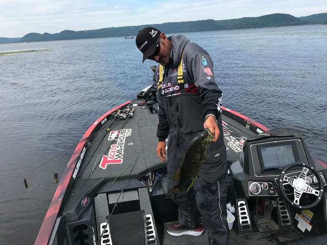 Finally a better one for Jared Lintner to fill his limit. 