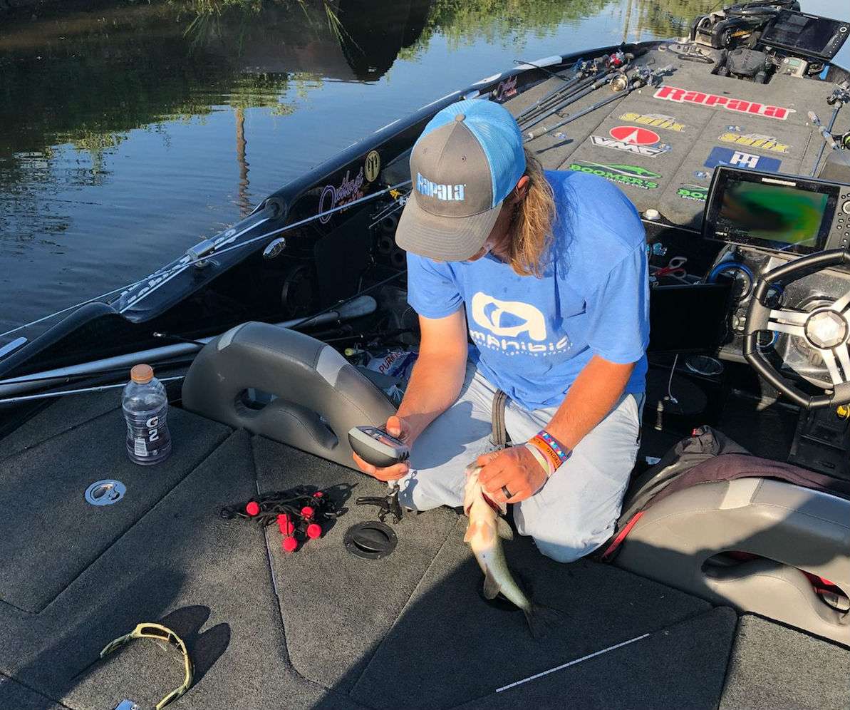 Seth Feider culling multiple times and is sitting at around 8.5-9 pounds with five fish, catching tons of fish and slowly upgrading ounces at a time!