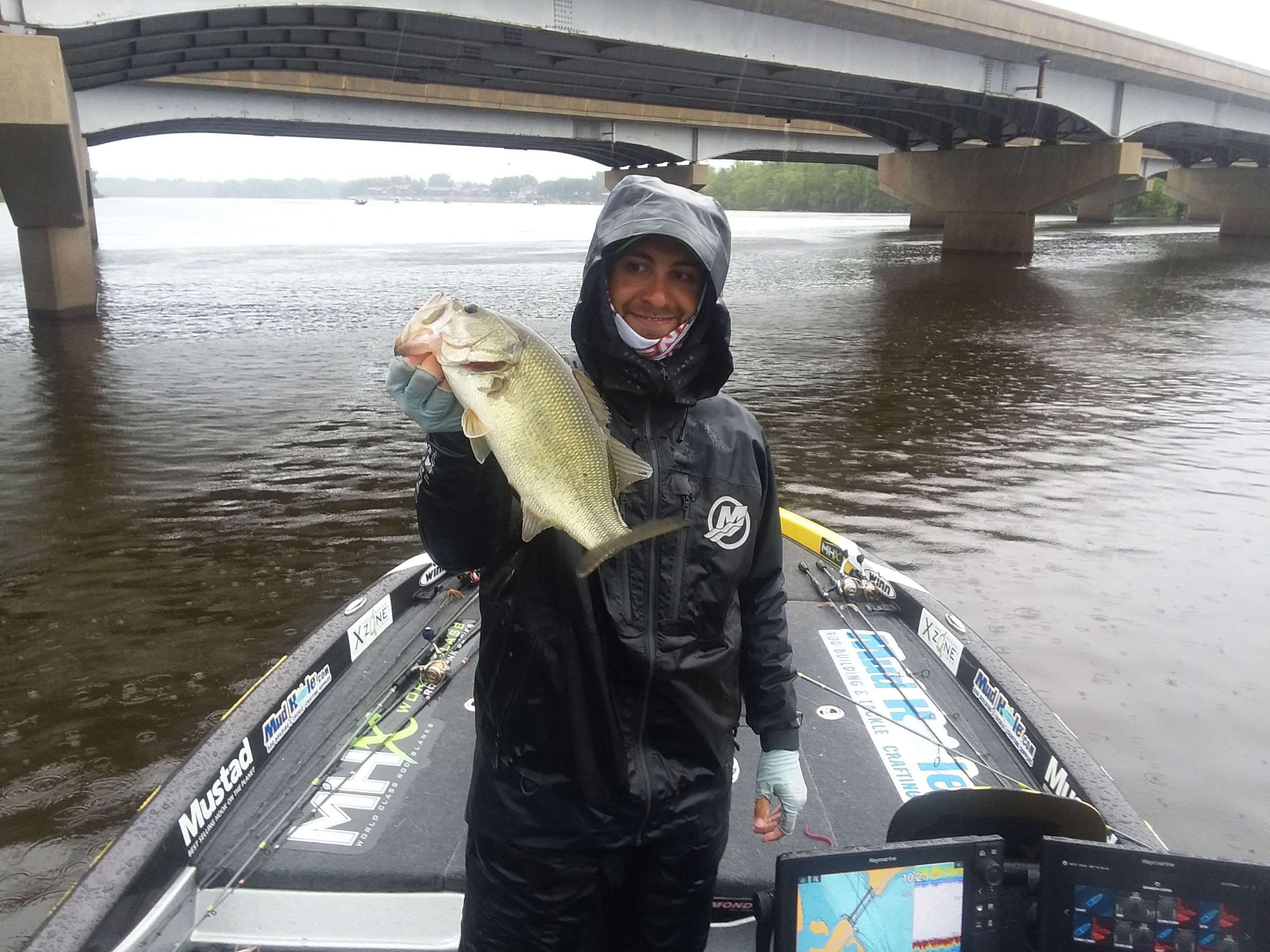 Brandon Lester culling.