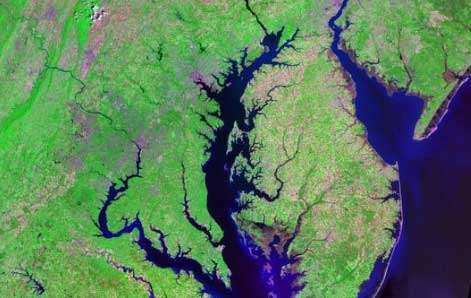 The Chesapeake Bay (center) is a huge fishery, with a number of rivers making its northern expanses freshwater down to around Baltimore. The waters turns brackish by mid-bay and salty as the sea farther south. In this NASA Landsat image, the Potomac River leading to Washington, D.C., is at the left and Delaware Bay on the right flows from Philadelphia farther north.