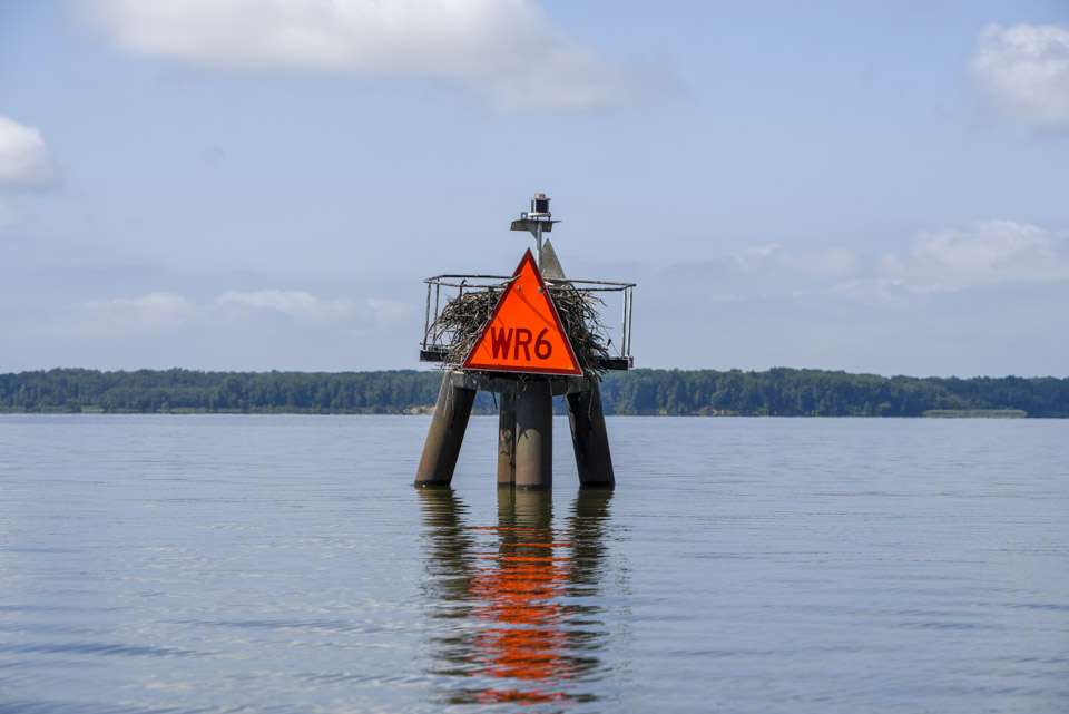This navigational marker stands at least 10 feet above the water surface under normal water conditions. Today there was less than 5 feet to the osprey nest on the platform.