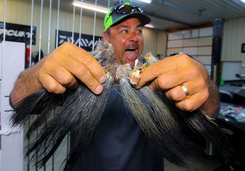 Followed by a collection of turkey beards, gathered around his home in Michigan. 
