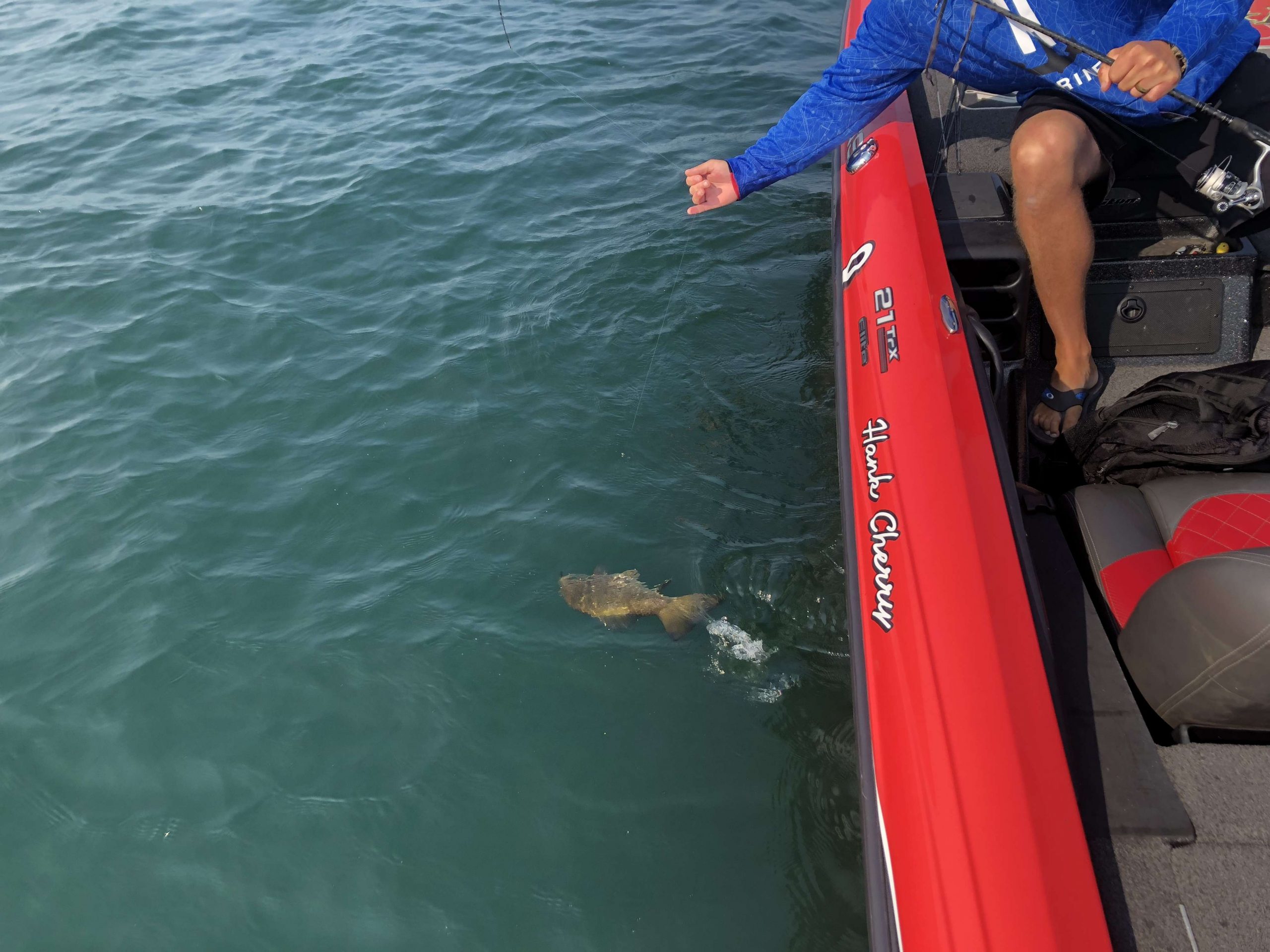 The cull is on for Hank Cherry.