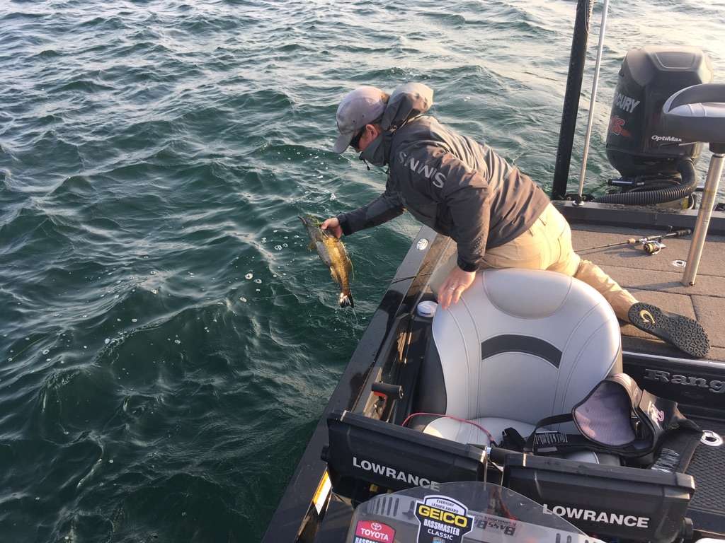 Another upgrade for Micah Fraizer.