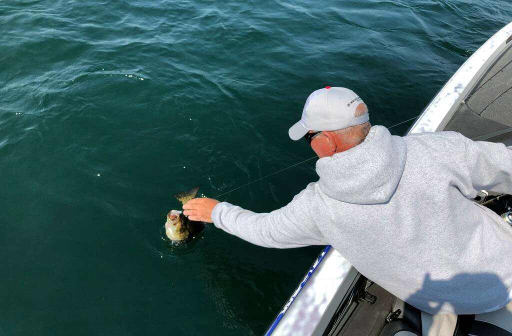 Scott about to keep this on for himself. He's been looking for that fish all morning. Still room for one more in the well.