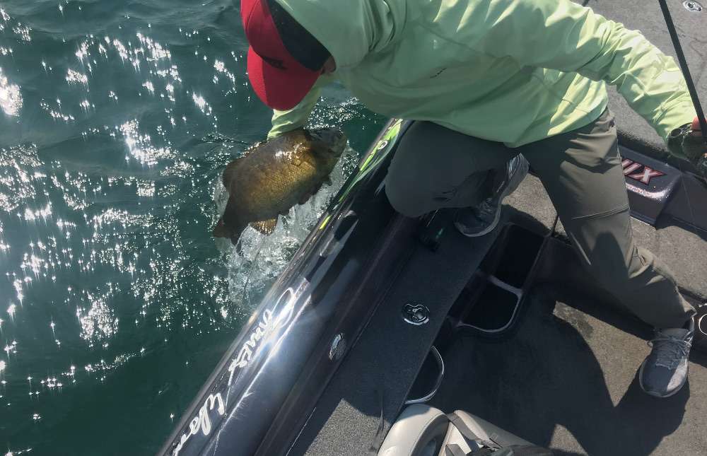 A 5-pounder for James Elam