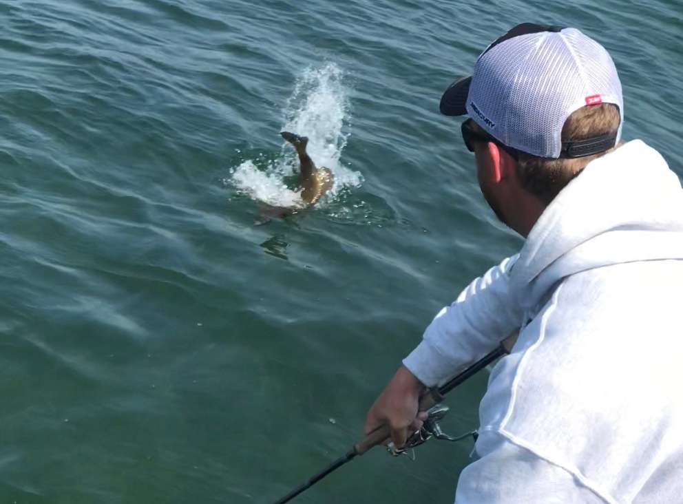 JVD battles one in for another upgrade.