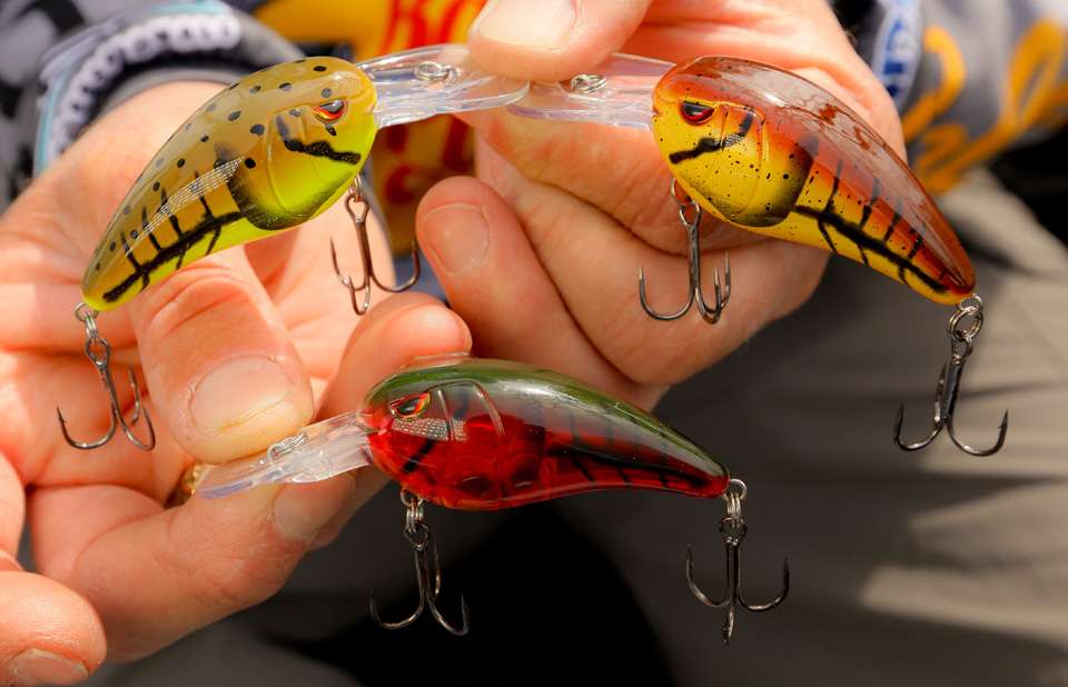 The crankbaits pictured here are some of his favorite colors to throw in stained water or on cloudy days. 