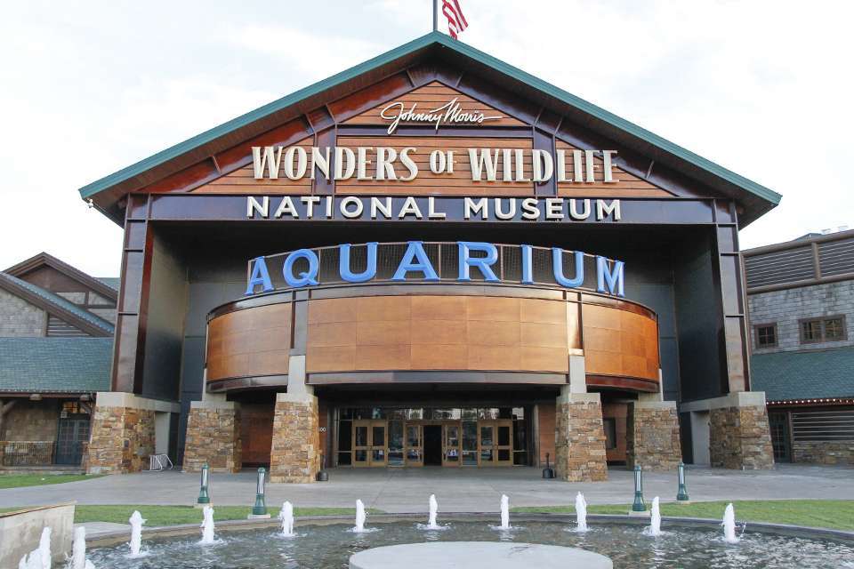 Those anglers would have to head an hour north of Table Rock to Springfield, where they might reduce some anxiety by visiting Johnny Morrisâ Wonders of Wildlife Museum and Aquarium. Itâs adjacent to the Bass Pro Shops where the tension-packed weigh-in will be held.