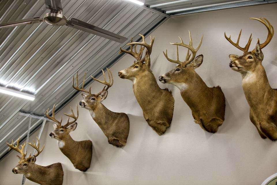 While most of that revolves around fishing, VanDam isnât shy about his love for deer hunting and this man cave, like so many showcases a sampling of his success in the woods as it does on the water. 