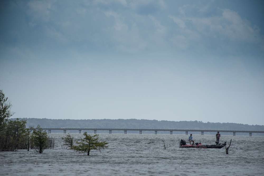 <h4>1. Sam Rayburn Reservoir, Texas</h4><br> [114,500 acres] One Texas biologist categorized this lake as âa fish factory,â and it lived up to that billing over the past 12 months by pumping out 20-pound stringers left and right. The 2017 Toyota Bassmaster Texas Fest benefiting Texas Parks and Wildlife Department held there last May showed its potential, when Brandon Palaniuk averaged almost 23.5 pounds over four days to win. And this year has begun with a bang, with a team weighing in 31.92 pounds during a January 20 Bass Champs stop. Bassmaster legend Harold Allen was on the team weighing in a second 30-pound stringer that included a 9.15-pounder. The big bass for the event just missed the 9 1/2-pound mark. A Texas Team Trail stop in Feb. was topped by a 37.04-pound sack anchored by a 9-pounder. But that wasnât the big fish of the event: In fact, there were three 10-pounders brought to the scale that day. It required 20 pounds of bass just to make the Top 30. When Bass Champs returned in March, there were 22 stringers weighing more than 20 pounds brought to scale â and the winning sack weighed 35.23 pounds, one of four limits that broke 30 pounds. This yearâs Sealy Big Bass Splash was won with a 12.05-pounder, with four other bass weighing more than 9 pounds entered and 14 8-pounders logged. The lake also produced a 13.06-pound ShareLunker the last day of March, proving there are massive bass swimming in these waters. And to put a cherry on top of the nationâs newest No. 1 bass lake, a Texas Team Trail event held here last month produced a 40.28-pound limit! Yes, you need to plan your trip here ASAP. 