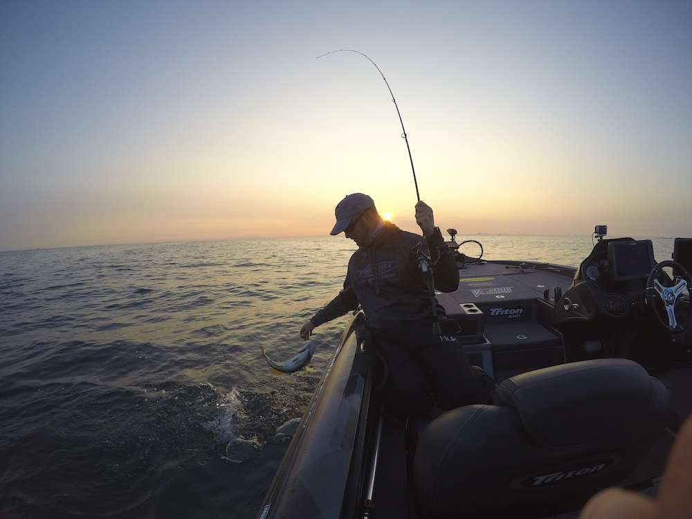 <h4>1. Lake St. Clair, Michigan</h4><br> [430 square miles] St. Clair emphatically claims the top spot in the Northeast region. The Michigan Department of Natural Resources collected the results from about 2,000 bass tournaments throughout the state in 2017. The data, compiled by fisheries biologist Tom Goniea, is a boon to fisheries managers and bass anglers alike. Despite enormous fishing pressure, St. Clair steadily produces scads of quality smallmouth bass. The largemouth fishery is secondary but quite good. Over the course of 80 tournaments in 2017, the average bass weighed 3.08 pounds, with hundreds of fish going over 4 pounds. The biggest bass weighed 6.80. In late August 2017, Oklahoma pro Jason Christie won a Bassmaster Elite Series tournament with a four-day total of 88 pounds. The Top 7 anglers in that event averaged more than 20 pounds per day. 
