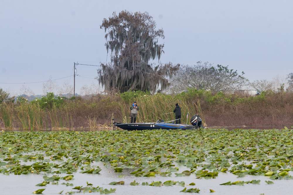 <h4>5. Lake Tohopekaliga, Florida (plus Kissimmee Chain of Lakes)</h4><br> [22,700 acres] Although Toho is not as consistent as it has been in the past, Bobby Lane still managed to weigh in 31-7 on Day 1 of the Bass Pro Shops Eastern Open in January. That said, only one other angler caught more than 20 pounds that day. Plus, it took 32 pounds to win an American Bass Anglers tournament here in May. According to Floridaâs TrophyCatch data, 23 bass over 8 pounds have been landed here this year, with three breaching the double digits. But, add to that a couple dozen more big bass coming from the rest of the Kissimmee Chain, and you are still looking at one of the best producers of 8-plus-pound bass in the country.
