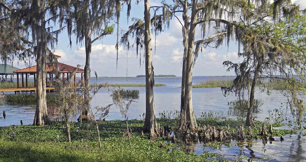 <h4>7. Lake Istokpoga, Florida </h4><br> [26,762 acres] This storied fishery isnât kicking out the giants like it used to. However, a 13-4 was landed here in March. There are 19 other 8-plus-pound largemouth entered into the TrophyCatch program this year from this lake. Plus, an Extreme Fishing Series event held on the lake in April saw a 29.15-pound limit weighed in for the win, as well as five other limits topping the 20-pound mark. Even though you likely canât expect a double-digit fish here like you once could, there are still very big bass swimming in Istokpogaâs water.
