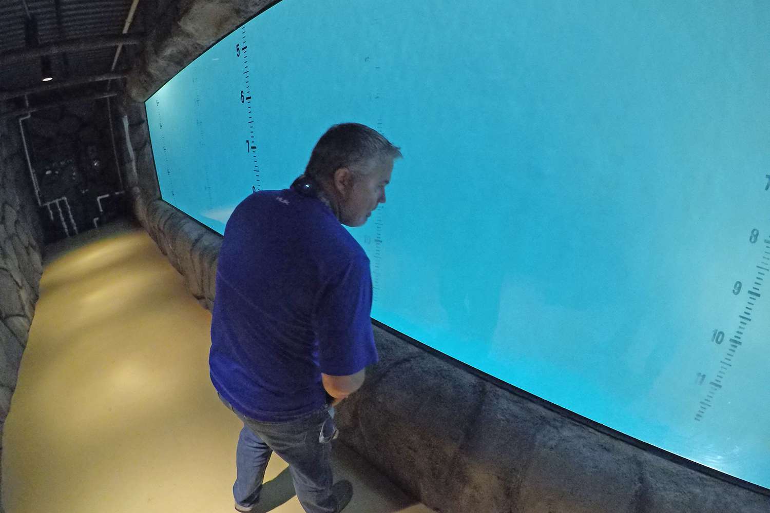 There's even a tank beneath the floor where testers and engineers can view how each lure swims. 