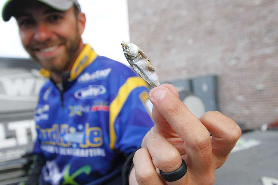 While digging around his console region he found a shad that he didn't know about. A hungry bass spit this up on his last fishing trip he believes.