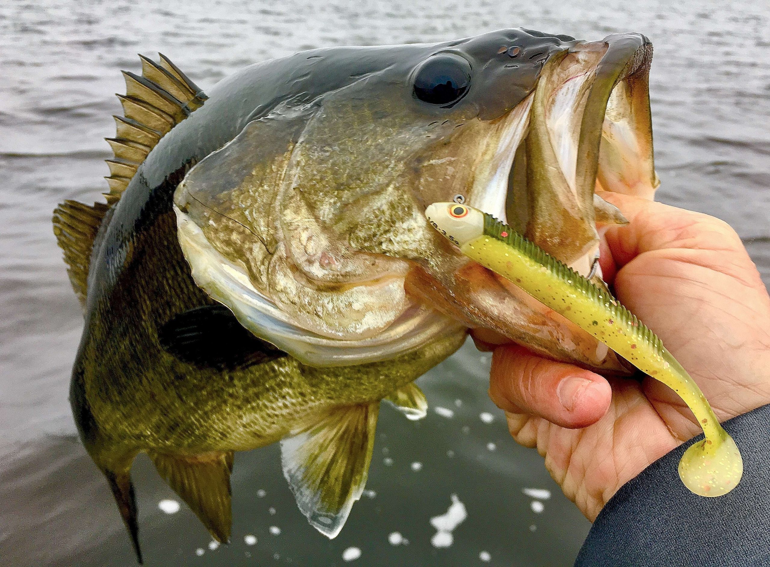 If a big version of something is working, you can always bet the bass fishing world is working to invent a smaller model. Thatâs been true for swimbaits in recent years with models from Storm, Keitech and Yamamoto â just to name a few. 