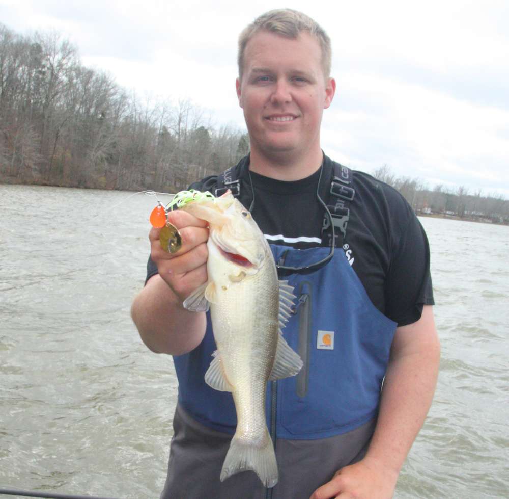 <b>3 HOURS LEFT</b><br>
<b>10:40 a.m.</b> Whitaker idles across the lake to a clay bank with a pronounced mudline, where he tries the spinnerbait. He gets a hard strike and swings aboard keeper No. 3, 2 pounds, 4 ounces. âThis fish was about 10 feet off the bank. I guarantee that little orange blade helped trigger that strike.â <br>
<b>10:46 a.m.</b> Whitaker reverts to the chartreuse crankbait on the clay bank. âItâs too deep here for my Power-Poles and I donât want to spook the fish by constantly turning my trolling motor on and off, so with this wind, Iâm better off just drifting and making lots of short casts into that mudline.â <br>
<b>10:58 a.m.</b> Whitaker has run back to the rocky channel bank where he caught his first two keepers. He positions his boat downwind of the sweet spot at the end of the bank and chunks the chartreuse 50X to the submerged rocks.
