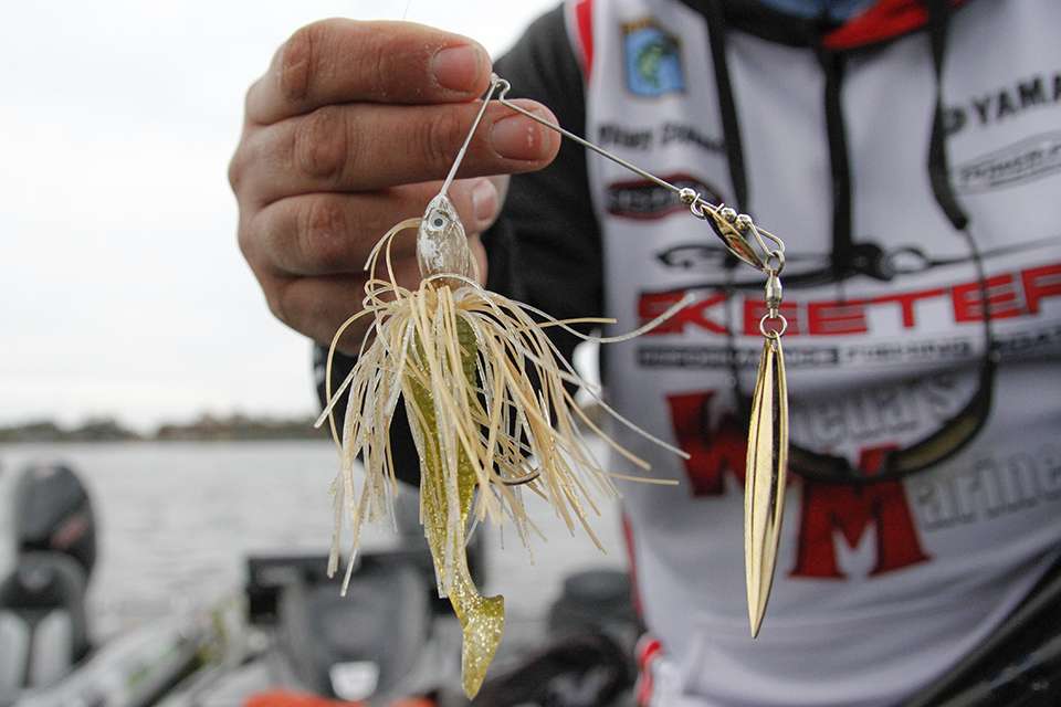 He used a 3/4-ounce custom Spinnerbait in Gold Shiner with double willow leaf blades with the biggest being a #6 size. The spinnerbait landed him numerous fish including the 7-8 kicker on the final day.